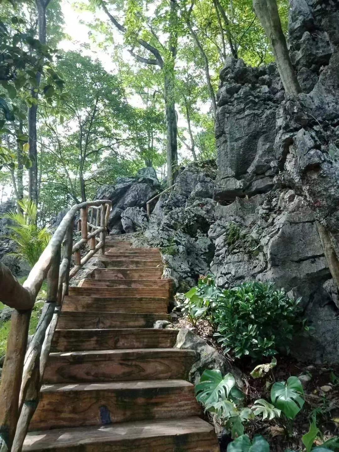 清遠山7.jpg